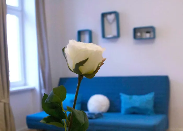 Cozy For Longer